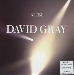 David Gray : Alibi